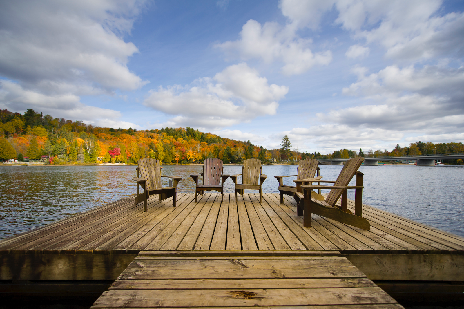 Three Things to Know for the Fall Cottage Life Show 1