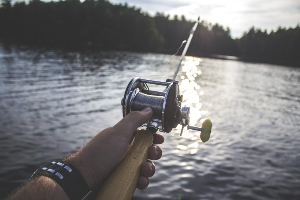 An Insider's Guide to Fishing in Muskoka 2